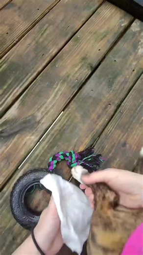 1.9K views · 17 reactions | Junie wakes up at 7 am sharp everyday. We do her morning routine, pla..._fix_001_fix_000 | B. Johner | Facebook