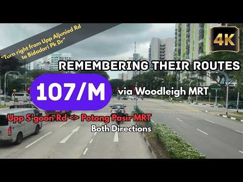 Remembering Their Routes: SBS Transit Bus Service 107/M via Woodleigh MRT [4K]