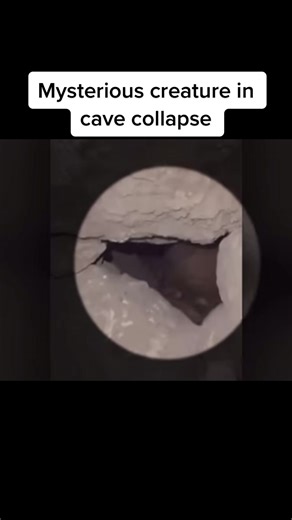 Mysterious Creature Discovery in Jordan Cave Collapse