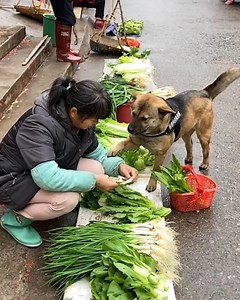 9.3M views · 10K reactions | Viral Stories on Reels | Facebook