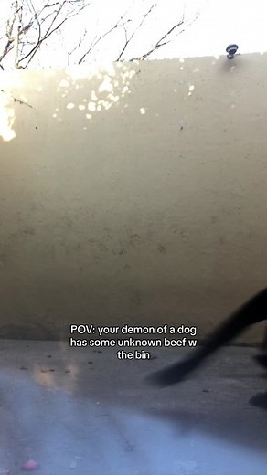 I was only trying to bring the bin back in 😭😖💔#luvtyr4 | Ricky When I Catch You Ricky