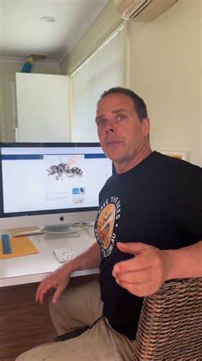 Congratulations Kit @bee.babette_performer I’ve seen how hard Kit’s worked over the last decade, and it’s absolutely brilliant she’s now named a bee. We need more like her-funded, surveying, discovering. Because right now we’re losing species faster than we’re finding them-thanks to pesticides, thanks to Queensland’s brilliant idea of poisoning everything that buzzes. Get behind her. Otherwise the next bee she names won’t be ‘Lucifer’-it’ll be ‘Last One Ever’. | Save the Bees Australia