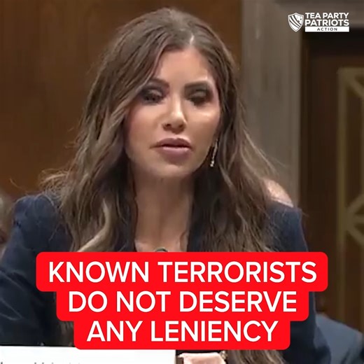 3M views · 80K reactions | The equation is simple. Democrats are fighting for known terrorists, murderers, rapists and illegal aliens. Republicans are fighting for the American people.⁩ | Tea Party Patriots | Facebook