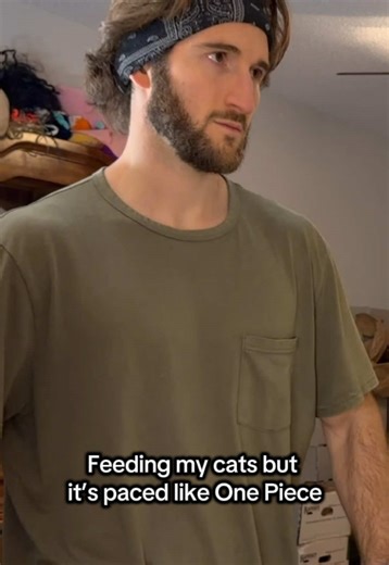 Cats Reacting to Anime-Style Feeding