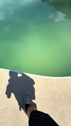 Some shock tok on a new green pool. I have 3 more green pools that I’m about to post! #greenpool #poolcleaning #asmr #shocktok #revive #fyp | SauceHaus