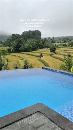 dimiviorela (@dimiviorela)’s videos with Death Bed（治愈版） - Andree Son