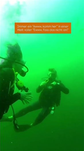 Das Leben einer Hexe...