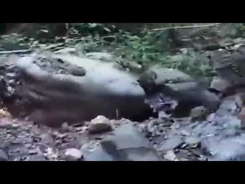 TUICHUNG A MEI KONG||KANGCHUP MAKHOM