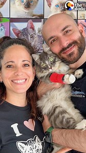 Kitten is so determined to get better he takes swimming lessons and graduates from physical therapy ❤️💦 | The Dodo