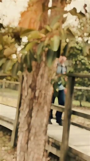 Live Australia: Discover Unique Experiences Down Under