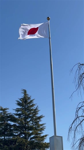 Exploring Japan in 2024: Culture, Cuisine, and Travel