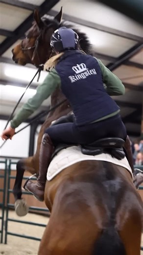 Yvet Blokesch on Instagram: "The last months of this year we (James, Jacco and me) will be traveling a bit 🚘🐎✈️😍 Super excited to meet some special new horses (and people🫶🏽🤪) First we’ll visit a rescue center in Greece to film for the On Tour Series at the Academy 🎦🍿 And in november we’ll go to England to give 2 demos with horses I haven’t met yet at a very nice event @horsemanshipshowcase 🐎 (tickets available now via @horsemanshiphub 😍🎟️) And I’ll publish some new trainingdays at our