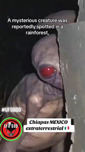 Fazendeiro divulga imagens assustadoras suposto alienígena #curiosidades #fypシ゚viral