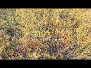Thingo Feat Staprick Moyo (Visualizer)