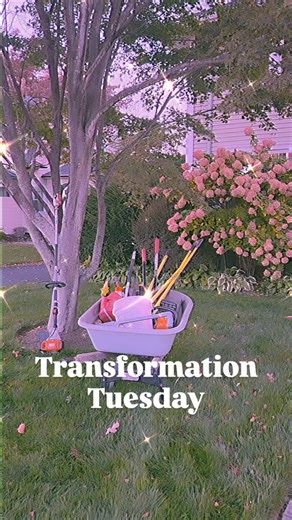 Slaying and laying | Creative Contour Landscape Design | Facebook