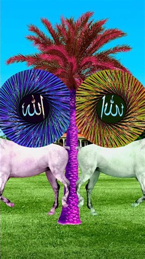 Chol din ki path mein cholo #Shorts #ytshorts