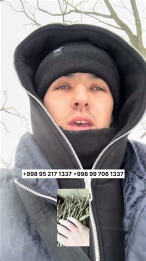 200.000 Uljon kochatimiz bor arzon narxlarda ekib beramiz +998 99 706 1337 #kovrak #ferula #top