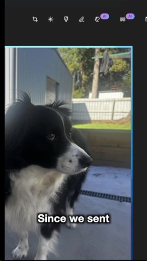 Need to send some files between your phone and laptop? You can do that with PhoneLink but you can also make calls, see your messages and notifications all on your desktop! | Microsoft ExpertZone (ANZ)