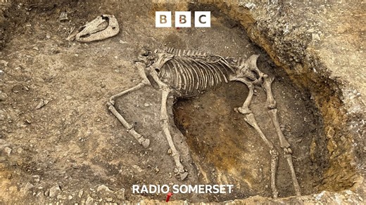 Secret Somerset - Roman villa discovered on the outskirts of Langport - BBC Sounds