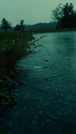 Jis din tujhko na dekhu 🥺 kaun tujhe Full screen lyrics status 💞 Male version ❣️ Fell this song 💫