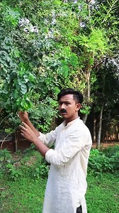 206K views · 4.2K reactions | Beta Vs Baap 藍 Wait For End #BAAP #Beta #surjapuri #surjapuri_comedy_video #SurjapuriKING #rajbongshi #Rajbongshi #comedyvideo #funny #funnyvideo #girlfriend #reels #comedy #chotu #ladki #reelsfypシ #feku #comedyreels #explore #viral #lol #facebookreel #Natok #trending #prank #entertainment #instagram #nunu #kalikapurcomedy #MANComedyVines | MAN Comedy Vines | Facebook