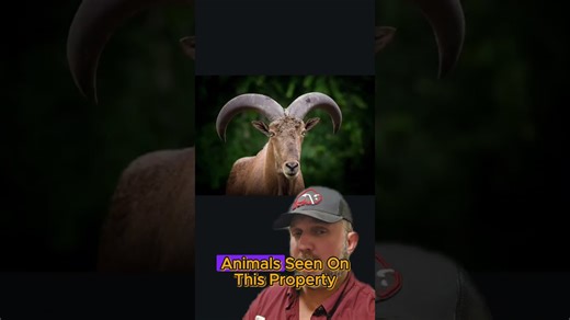 Large ranches for sale in Texas, Nineteen Mile Ranch overview