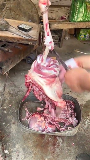 Hanging Lamb Leg Butchery｜Hanging Lamb Leg Cutting