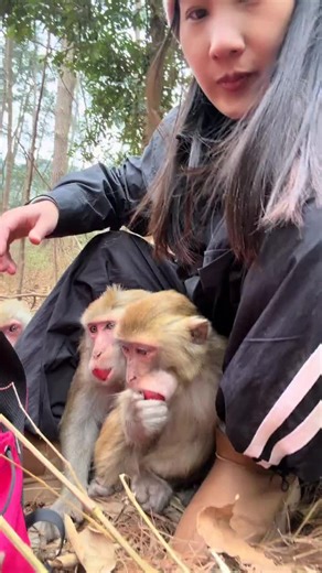 happyjack7 (@happyjack78)’s videos with original sound - happyjack7