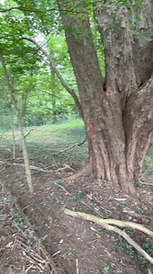 We decided to walk through this cemetery the other day and check out some of the headstones. Such a pretty little cemetery with some very nice stones 🪦 | The Paranormal Couple