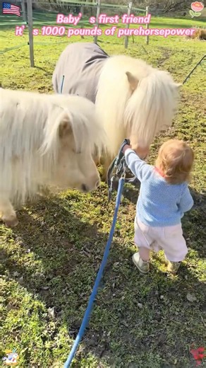 Baby’s first friend... and it’s 1000 pounds of pure horsepower#horse #baby #fyp #friends #love