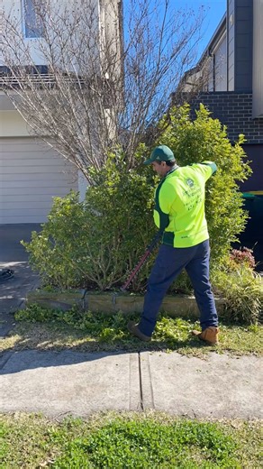 3.1K views · 78 reactions | Professional Hedge Trimming ✂️ Overgrown...