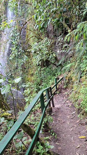 Ecuador still has many lesser-known places where you can enjoy beautiful hikes in peaceful surroundings. This time, we explored the Cayambe area, specifically the Cariacu Waterfalls. This is a well-marked trail leading to several waterfalls, which you can easily hike on your own. You can also extend the walk to visit a swing located at the top of the mountain.