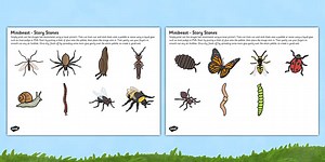 Minibeasts Story Stone Image Cut Outs