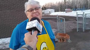 19K views · 277 reactions | Eileen, cooking for the school breakfast program at Forest Glen School, won $200 on #GoneIn60Seconds Free Money Edition! Can we bring YOU money? Sign up NOW: https://www.newcountry969.ca/gone-in-60-seconds/ | New Country 96-9 | Facebook