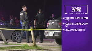 Violent crime in Houston down 12% from last year, police chief claims