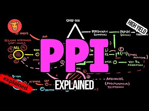 Proton Pump Inhibitors EXPLAINED: Mechanism & Side Effects (USMLE High-Yield Beginner’s Guide)