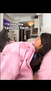 863K views · 17K reactions | Cat vs Hooman | KLR Productions | Facebook