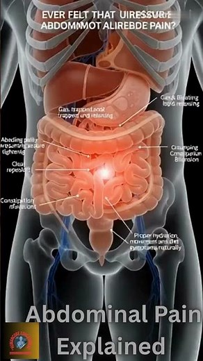 Abdominal Pain Explained 🔴 3D Human Anatomy Animation Gas, Bloating & Internal Pressure