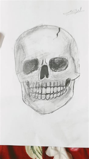 scull drawing #trending #art #animeeart #scull