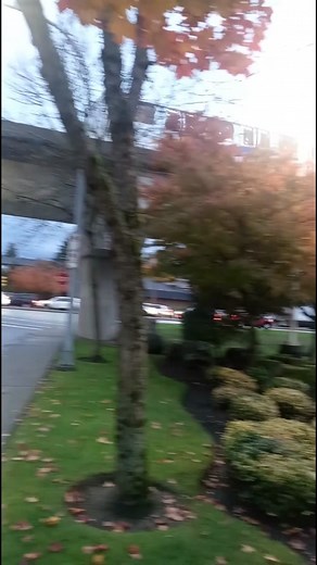 AMAZING Sky Train View From the Ground! #SkyTrain #ElevatedTrain #TrainShorts #ShortsFeed #UrbanLife #TrainSpotting #Travel#CinematicTrainJourney #BeyondTheMap #ScenicTrainRide #TrainVlog #FacelessTravel #RelaxingMusic #NatureVibes #TravelFilm #4KTravel #TrainSounds #AdventureVlog #UntamedWild #trainshorts #CinematicTravel #RelaxingVibes #TravelShorts #4KVideo #AmbientJourney #UrbanEscape #RailwayAdventures | Beyond the Map