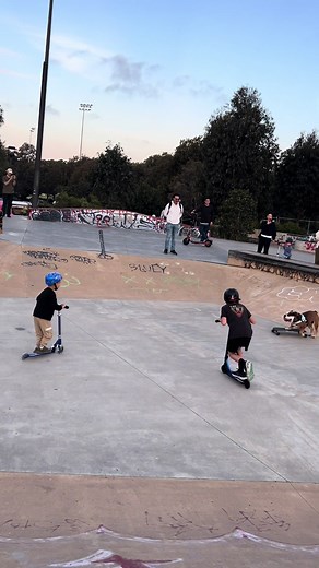 Adorable Bulldog Skateboarding Fun with Friends!