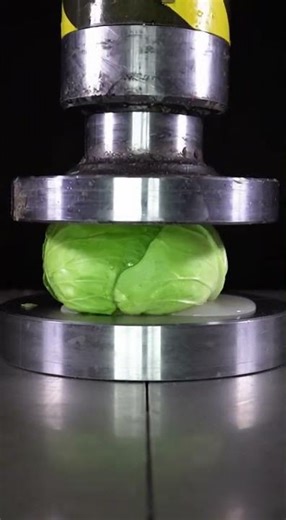 Hydraulic Press Vs | Crushing object Hydraulic Havoc #Satisfying #HydraulicPress #asmr #crushed