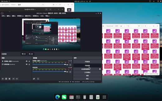 linux实践8各种软件商店.mp4
