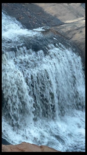 Una tarde de otoño perfecta en el corazón de Greenville 🍂☀️ Una familia disfruta del sonido del agua y la brisa fresca, sentados sobre las rocas del Reedy River en Falls Park. 💦🍁 Entre risas y hojas doradas, el otoño comienza a pintar el parque con su magia natural. 🌳❤️ #FallsPark #GreenvilleSC #ReedyRiver #OtoñoEnGreenville #SouthCarolina | SC Greenville Digital