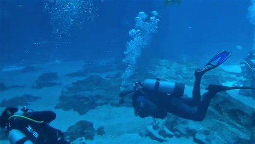 Exploring the Wonders of Scuba Diving with Sharks