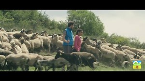 There’s so much to see in the Pyrenees! Whether it’s summer or winter, come and enjoy the unforgettable natural landscape, rest assured you won’t regret it. http://bit.ly/2cAxqnu Hi ha molt per veure als Pirineus, i ens encanta! Ja sigui estiu o hivern, vine i gaudeix d’un entorn inoblidable rodejat de natura i tranquil•litat, t’assegurem que no te’n penediràs. ¡Hay mucho por ver en los Pirineos! Ya sea verano o invierno, ven y disfruta de un entorno inolvidable rodeado de naturaleza y tranquili