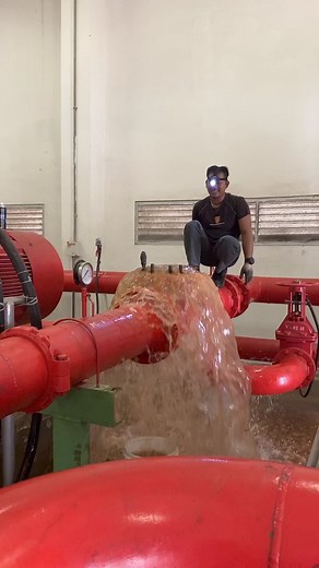 Flushing Check Valve (sevice & cleaning) | Ad Har