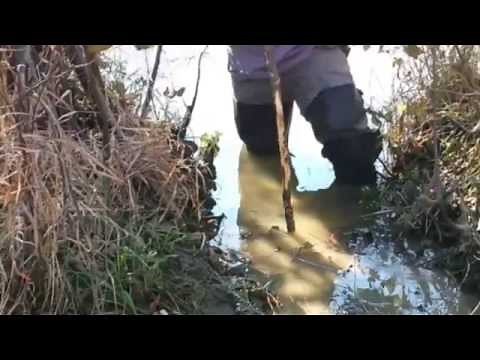 Simple Trapping Sets Beaver Foothold