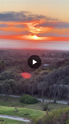 #springbok | Stephen Newton