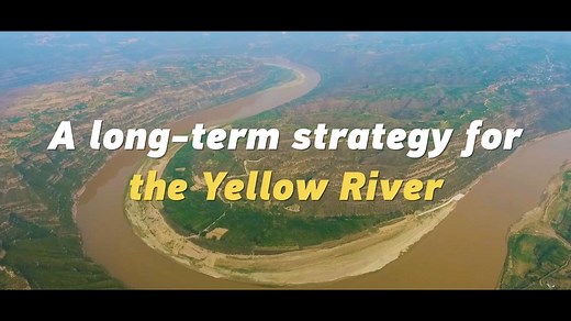 China committed to Yellow River basin ecological conservation, high-quality development